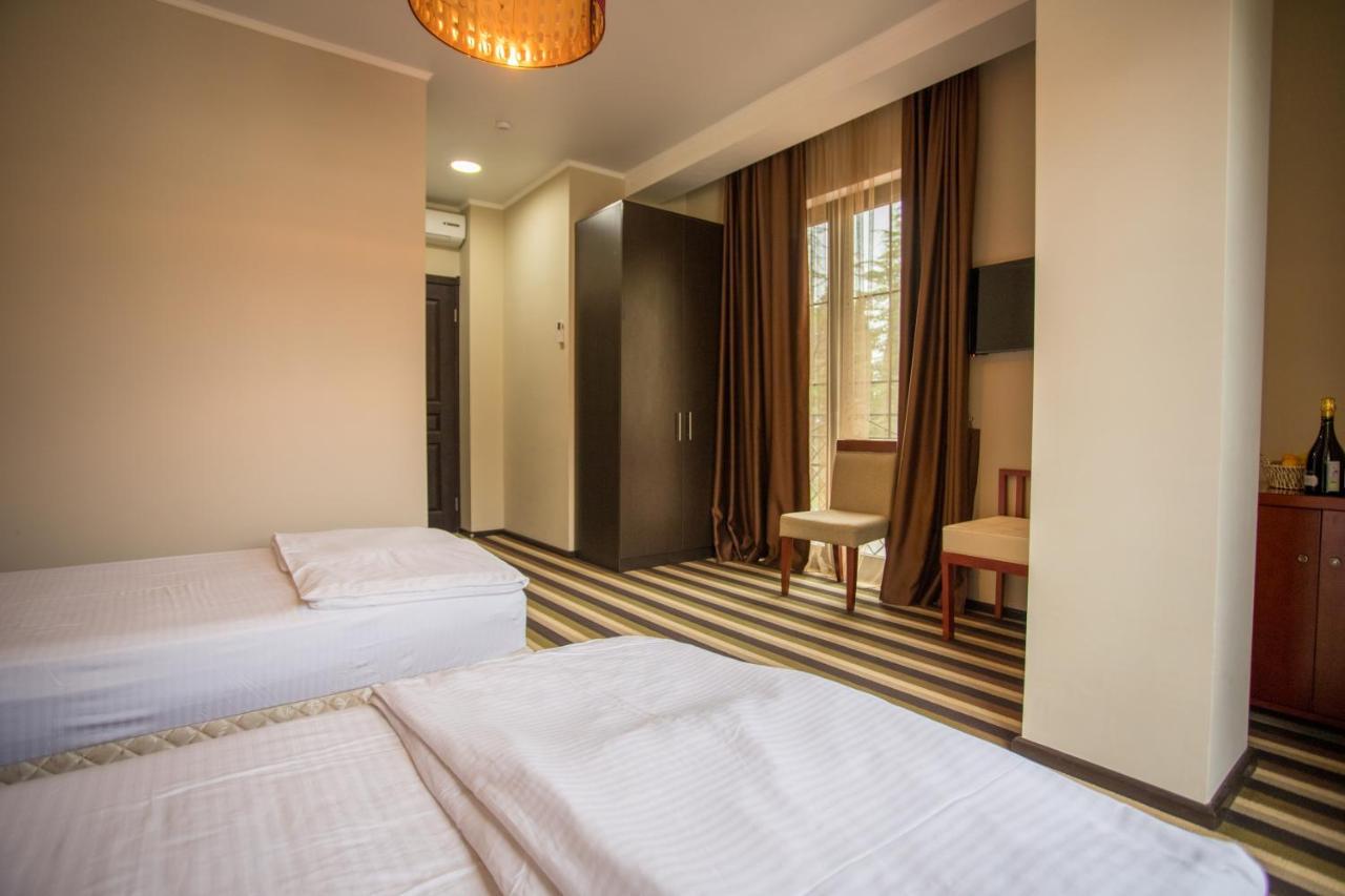 Afon Resort Hotel New Athos Buitenkant foto